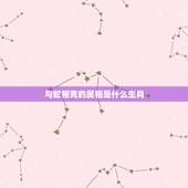 与蛇相克的属相是什么生肖，与蛇相克的生肖是哪些生肖