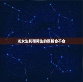 龙女生和猴男生的属相合不合，属猴的男的与属龙的女的配吗？