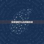 生肖兔配什么生肖最合适，生肖兔和什么最配