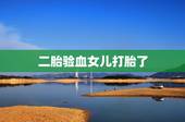 二胎验血女儿打胎了，去香港验血结果是女孩，中医却几次都说肯定是男骇？什