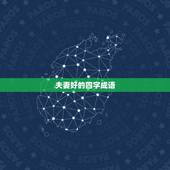 夫妻好的四字成语，形容感情很好的四字成语