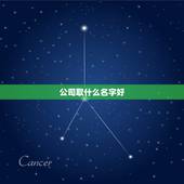 公司取什么名字好，想注册一个公司取什么名字好