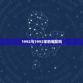 1992与1992年的相配吗，1992年的属猴的和1992年属猪的相配