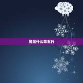 属鼠什么命五行，属蛇什么命五行是什么