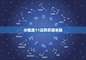 水瓶座11运势苏珊米勒，苏珊米勒10年11月水瓶运势