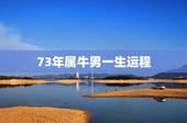 73年属牛男一生运程，1973年属牛的三大坎