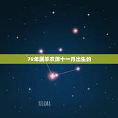 79年属羊农历十一月出生的，1991年属羊十一月出生男命