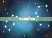 十大最好养的陆龟，那种陆龟最好养？