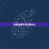 壬寅年属于五行属什么，2024甲辰年五行属什么