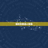 猪的东西进入身体，女性人类动物