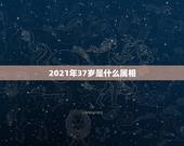 2021年37岁是什么属相，2021年十二生肖年龄对照表