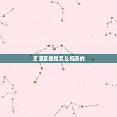 王源正缘是怎么相遇的，紫微斗数 看妻子，何时相遇，怎么相遇，何时结婚，