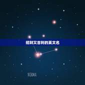 招财又吉利的英文名，有谁能帮我取个好听又吉利的英文名呀？