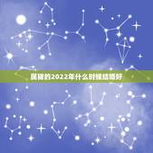 属猪的2022年什么时候结婚好，95年属猪的女孩，什么时候结婚好