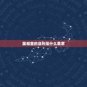 属相里的自刑是什么意思，八字里的命带自刑是什么意思