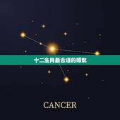 十二生肖最合适的婚配，两人按属相鸡狗不能婚配，按星座又是比较好的婚配，