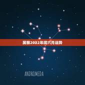属猴2022年闰六月运势，属猴人2021年运势运程每月运程