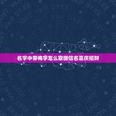 名字中带梅字怎么取微信名喜庆招财，有哪些带梅字的微信昵称？