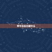 甲午日五行属什么，甲午年五行属什么
