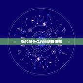 猴和属什么的婚姻最相配，猴年出生的人和什么属相的人结婚是最好的配偶