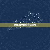 65年出生属蛇今年运气，65年蛇男2022 年婚姻