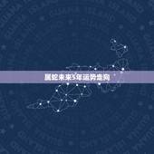 属蛇未来5年运势走向 属蛇在什么年运势好