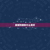属猪的婚配什么更好，属虎属猪婚配好不好