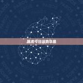 属虎今日运势华易 ，属虎人思考问题