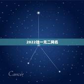 2022独一无二网名，2023独一无二微信网名伤感