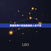 里面有两只老鼠属相的人合不合，两个属相都是鼠犯冲么 要是的话怎么化解？