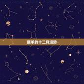 属羊的十二月运势，1979年羊在2022 年12月运势