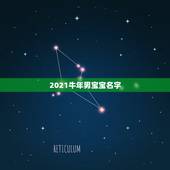 2021牛年男宝宝名字，牛年宝宝名字大全2021有寓意