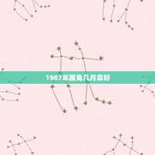 1987年属兔几月命好，属兔2022 年运势及运程