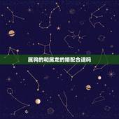属狗的和属龙的婚配合适吗，属狗和属龙的相配吗