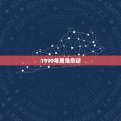1999年属兔命运，1999年属兔女一生运势