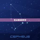 怎么看是否怀孕，怎样知道自己是否怀孕