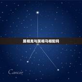 属相龙与属相马相配吗，属龙男和属马女相配吗？结婚后财运和婚姻如何