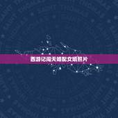 西游记闯天婚配女婿照片，《西游记》中猪八戒算不算一个合格的上门女婿呢？