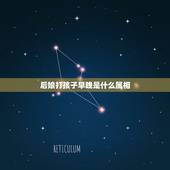 后娘打孩子早晚是什么属相，十二生肖的顺序是什么？都代表什么意思？