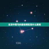 生活中属马的最佳婚配是什么属相，属马的和什么属相最相配 12属相婚配表