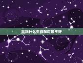 鼠跟什么生肖配对最不好，生肖鼠不适合和哪几个生肖
