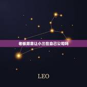 老板愿意让小三在自己公司吗，职场碰到上级是老板的小三，怎么办？
