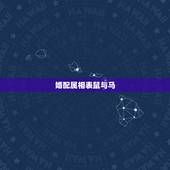 婚配属相表鼠与马，属鼠和马能婚配吗