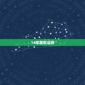 14年属蛇运势，2014年，生肖属蛇的人运势怎么样？