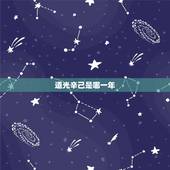 道光辛己是哪一年，辛邜年是19几年