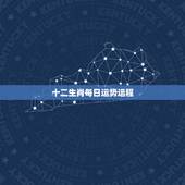 十二生肖每日运势运程，十二生肖今日偏财运
