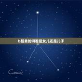 b超单如何看是女儿还是儿子，怎样从b超单上了解怀的是女孩还是男孩