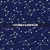 1987属兔什么时候可以顺，87年属兔哪年运气更佳