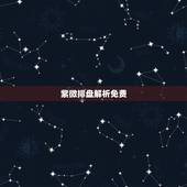紫微排盘解析免费，紫微斗数免费命盘精准详解