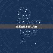 兔宝宝最忌哪个月生，2023年兔宝宝备孕时间表